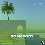 cover: Dudnetic - Somebody (Original Mix)