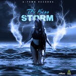 cover: Tk Kiss - Storm