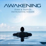 cover: Dobie|Tripplex - Awakening (Instrumental)