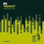 cover: Bk - Reach (Original Mix)