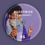 cover: Buddynice - Your Life (Treasure It)