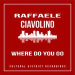 cover: Raffaele Ciavolino - Where Do You Go (Original Mix)