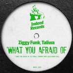 cover: Taliwa|Ziggy Funk - What You Afraid Of (Disco Phobia Mix)