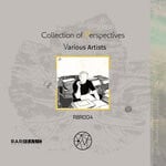 cover: Various - Collection Of Perspectives