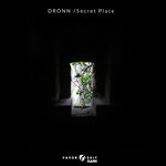 cover: Dronn - Secret Place