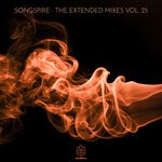 cover: Various - Songspire Records - The Extended Mixes Vol 25