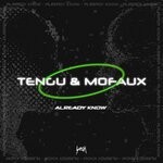 cover: Mofaux|Tengu - Already Know