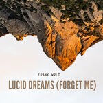 cover: Frank Wrld - Lucid Dreams (Forget Me)