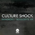 cover: Culture Shock - Raindrops / Troglodyte VIP