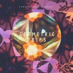 cover: Tamara Montenegro - Geometric Trips