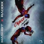 cover: Mashbit|Raddix - Crash Into Me