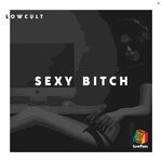 cover: Lowcult - Sexy Bitch