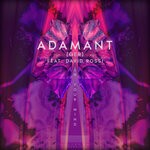 cover: Adamant (ger) - In Your MInd