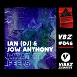 cover: Ian (dj)|Jow Anthony - What It Feels