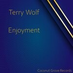 cover: Terry Wolf - Enjoyment