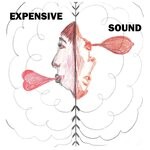 cover: Graziella Finarda - Expensive Sound