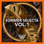 cover: Various - Summer Selecta Vol 1