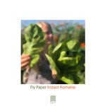 cover: Fly Paper - Instant Romaine