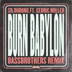 cover: Cedric Miller - Burn Babylon (BassBrothers Remix)