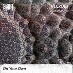 cover: Necrolx|Zhanelya - On Your Own