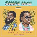 cover: Afro B|Dre Skull|Vybz Kartel - Shape Nice