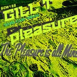 cover: Gill T Pleasure - The Pleasure's All Mine (Explicit)