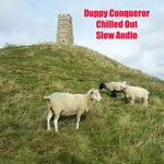 cover: Duppy Conqueror - Chilled Out: Slow Audio