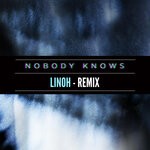 cover: Camilo Carrero Camc - Nobody Knows (Linoh Remix)