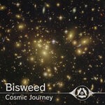 cover: Bisweed - Cosmic Journey