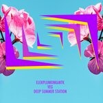 cover: Elekplunkinkantk|Veg - Deep Summer Station