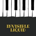 cover: Various - Invisible Liquid