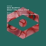 cover: Ben Murphy - What You Call It EP