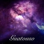 cover: Guatouso - Enjoy