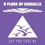 cover: A Flock Of Seagulls - Say You Love Me