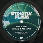 cover: Wza, Dea (ca) - Where Is My Mind (Pt. 1)