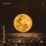 cover: Jorge Viana - Analog Moon