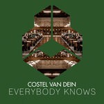 cover: Costel Van Dein - Everybody Knows