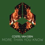 cover: Costel Van Dein - More Than You Know