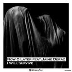 cover: Jaime Deraz - I Will Survive