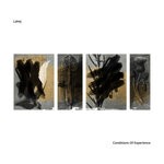 cover: Lakej - Conditions Of Experience