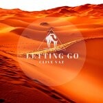 cover: Clive Vaz - Letting Go