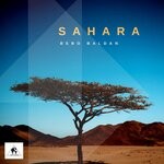 cover: Bebo Baldan - Sahara