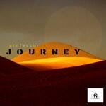 cover: Professor (RO) - Journey