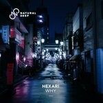 cover: Hexari - Why (Extended Mix)