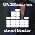 cover: Adam Owens - Exotic