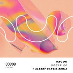 cover: Raoou - Gozar