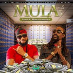 cover: Munga Honorable|Tyrifik - Mula