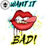 cover: Soiree - Want It Bad!