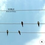 cover: Soble - Birds & Delays