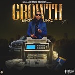 cover: Bingy Linkz - Growth